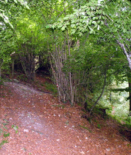 XviD-ItaMp3 Il Potere Dei Sensi (2002 Erotico Jean-Claude Brisseau) by Nite ScambioEti