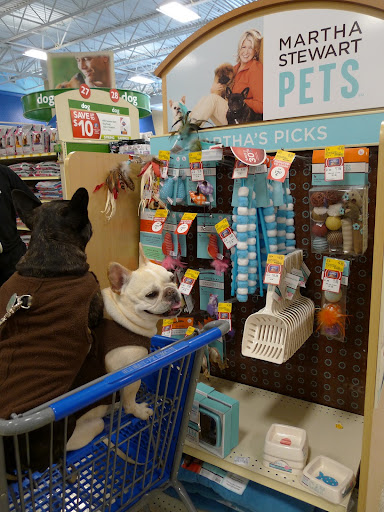 Come on, Francesca!  Focus!  Let's get back to inspecting the Martha Stewart Pets line at this Petsmart!  This display is neat and orderly.