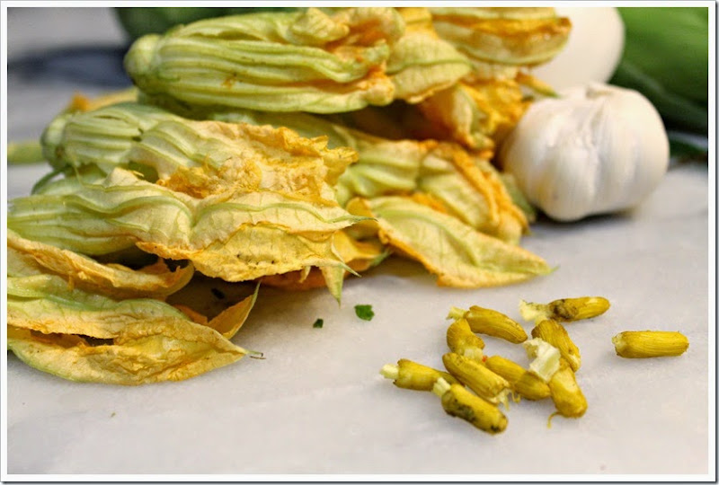 Sopa de Milpa5a.jpg Sopa de Milpa5a.jpg