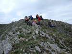 La Polinosa