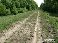 dsc06609.jpg