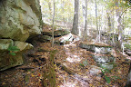view along trail 493