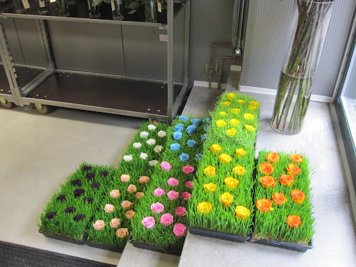 The display is on the stairs at the front of the shop.