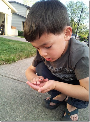 2012-04-23 18.54.08 2012-04-23 18.54.08
