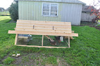  Chicken Gallery