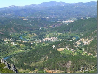 P1020686 P1020686