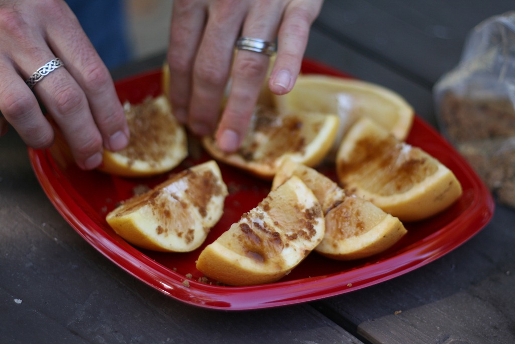 [picnic-brunch-0855.jpg]