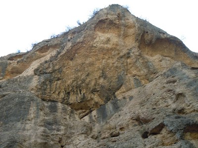 DSCN4009.jpg