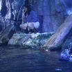 Los Angeles 037.JPG