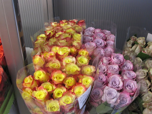 This store really is the place to go if you are in search for the perfect rose.