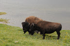 DSC_2763.JPG