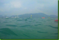 IMG_0331 IMG_0331