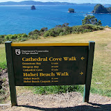 Cathedral cave & hot water beach