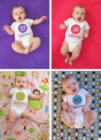 [Nora%2520Weeks%252037%2520thru%252040%2520Collage%255B4%255D.jpg]