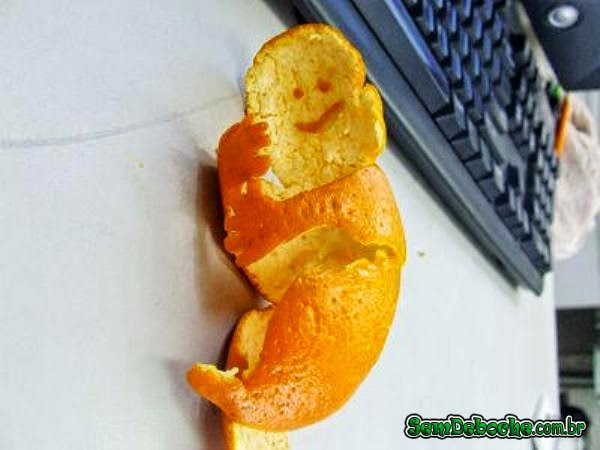FOREVER ALONE! FOREVER ALONE!