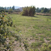 2008 (2).JPG