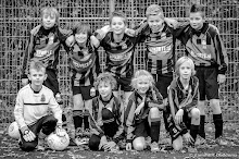 20141122 - TEAM WVV E2 - 002.jpg