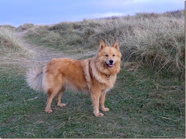 november 4 2011 032