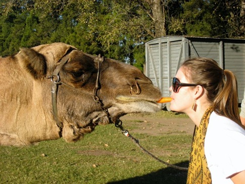 A Zoo Where You Can Pet The Animals 04