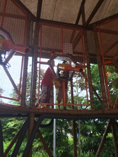 IMG_1979.jpg IMG 1979