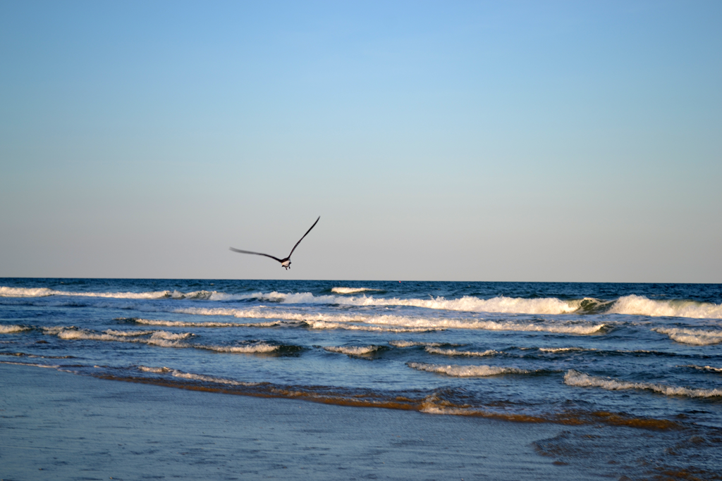 [DSC_0243_edited-14.png]