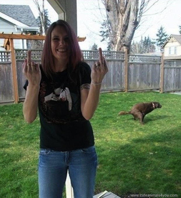 [50_Funniest_Animal_Photobombs_Of_All_Time_27%255B6%255D.jpg]