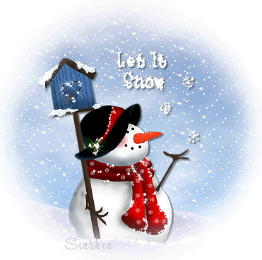 winter47
