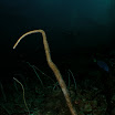 201209 Ko Haa-99.jpg