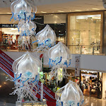 IMG_89252.jpg