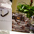 Kohler Waters Spa Business After Hours