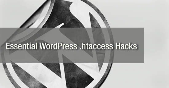 [htaccess%2520Hacks%2520for%2520Securing%2520your%2520WordPress%2520blogs%255B5%255D.jpg]