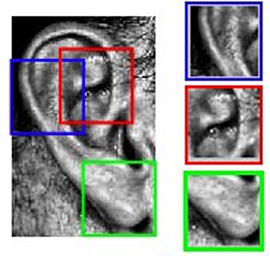 ear ear