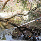 DSCN2997.JPG