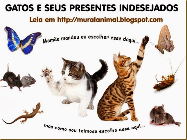 gatos_presentes-indesejados