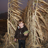 IMG_8469.JPG