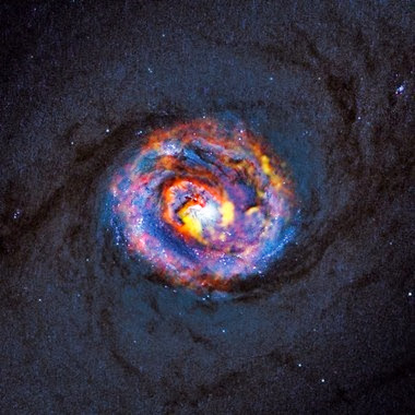 Composite view of the galaxy NGC 1433 from ALMA and Hubble Composite view of the galaxy NGC 1433 from ALMA and Hubble