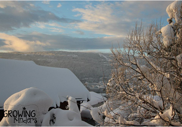 norway winter