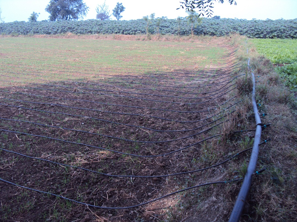 [DSC00475%255B5%255D.jpg]