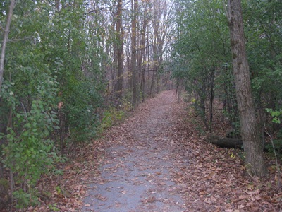 [IMG_4837%255B2%255D.jpg]