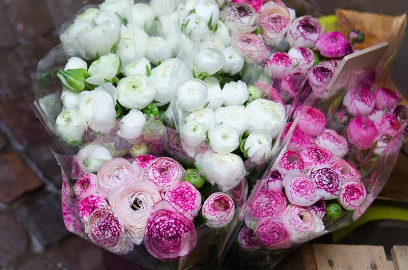 [Annecy%2520Morning%2520Blog-7%255B7%255D.jpg]