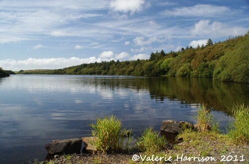 [1-whitefield-loch%255B2%255D.jpg]