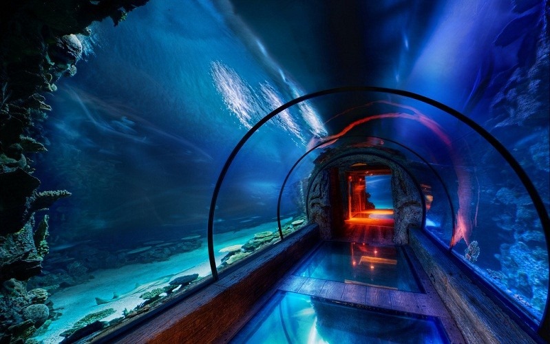 [underwater-tunnel-at-mandelay-bay-las-vegas-799x500%255B5%255D.jpg]