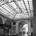 R0029813.JPG