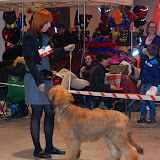 Abi - DSC_0044.jpg
