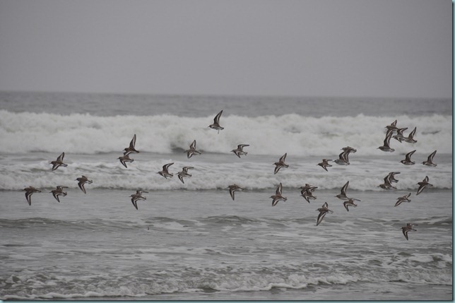 DSC_0188 DSC_0188