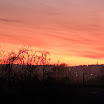 DSCN3193.jpg