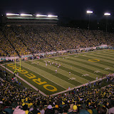 ducks 107.jpg
