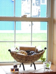 DSC08135 DSC08135