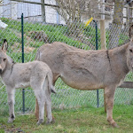 DSC_0056.JPG
