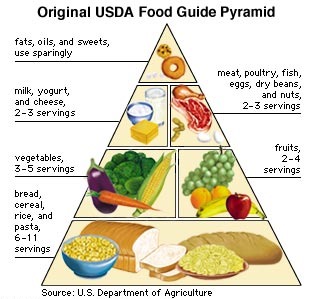 [original-usda-food-pyramid%255B4%255D.jpg]